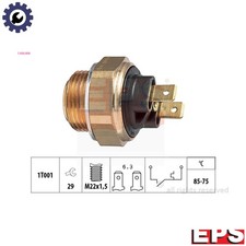 TEMPERATURE SWITCH RADIATOR