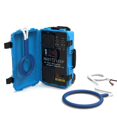 Horse pmst loop - pmst, magnetic