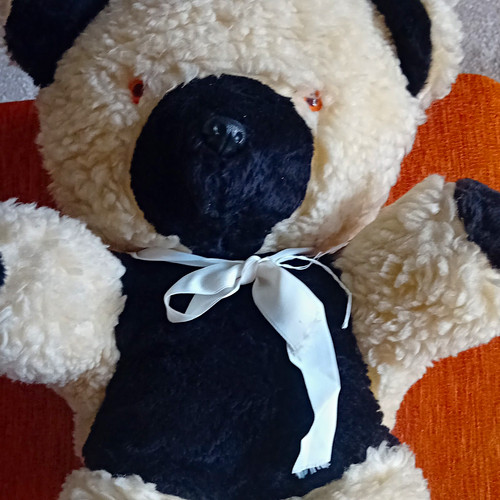 Panda black white - panda,