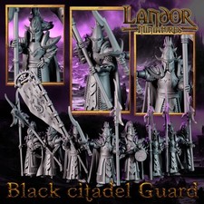 Black Citadel Guard Warriors