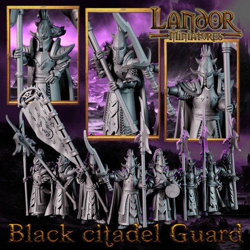 Black citadel guard - black, warriors
