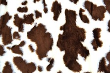 Animal Print Fun Faux Fur