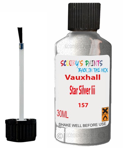 Paint for vauxhall star silver - star,