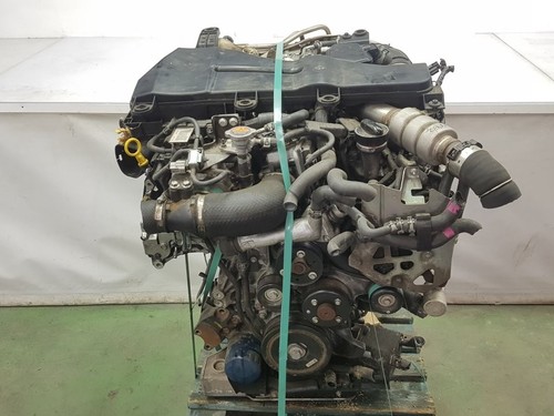 Nissan navara d40 v6 - nissan,