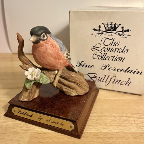 Bullfinch bird fine - bird,