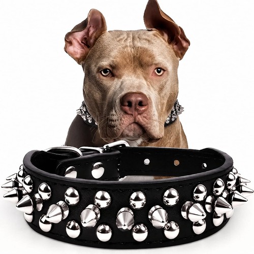 Adjustable studded spiked - adjustable,