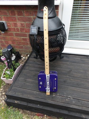 One string homemade fretless - one,