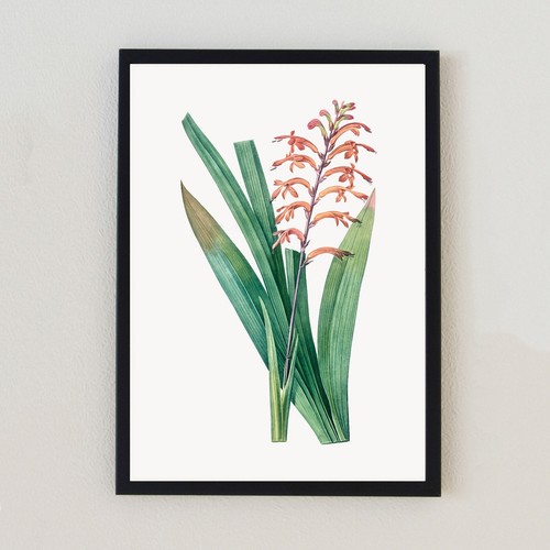 Vintage flower botanical - vintage,