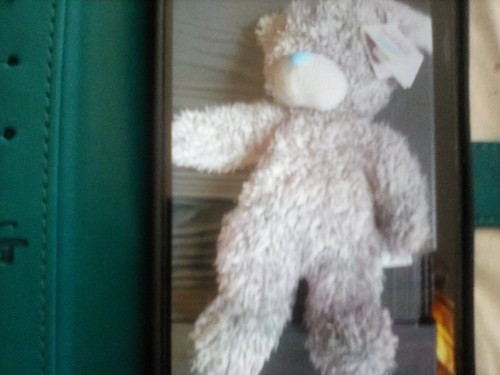 New tatty teddy blue - , nose