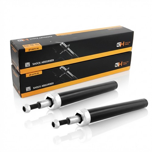 Oil shock absorbers front - 2x,