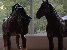 Four beswick horses shire - beswick, by
