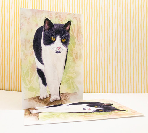 Tuxedo cat notecards - tuxedo, pack