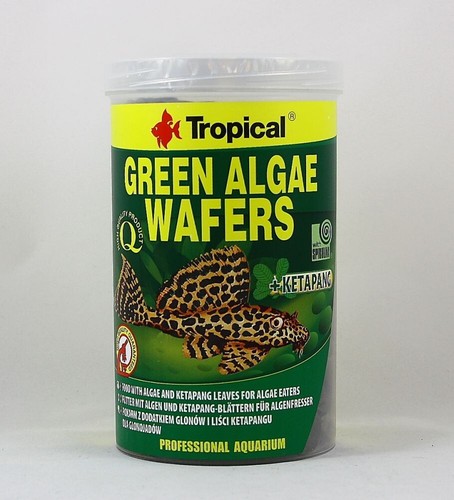 Green algae wafers tropical - green,