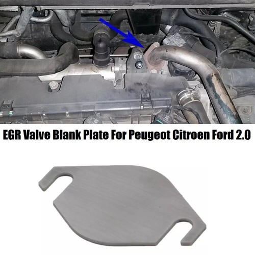 Egr valve blank plate - egr,