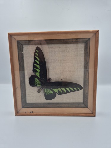 Vintage frames rajah brookes - vintage,