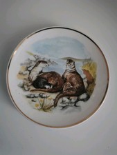 WILDLIFE OF  BRITAIN OTTER