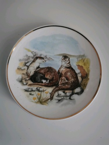 Wildlife britain otter - ,