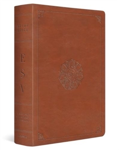 Esv study bible leather - bible, (leather