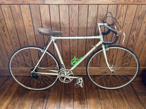 Raleigh competition 1982 road - raleigh,