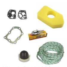 BRIGGS & STRATTON Classic and