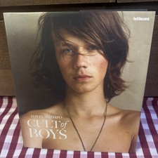 CULT OF BOYS By Toyin Ibidapo