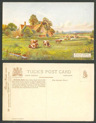 Bridgman old tuck s - bridgman, tuck's