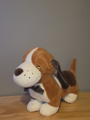 Cute basset hound dog - basset,