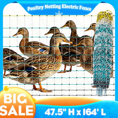 Hx168 electric poultry - 47.5"hx168'l,