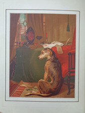 1877 LANDSEER'S DOGS AND THEIR