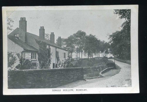 Romiley cheshire dingle - ,