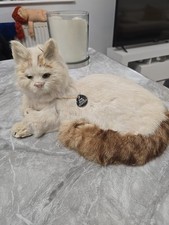 Vintage Swimming Cat From