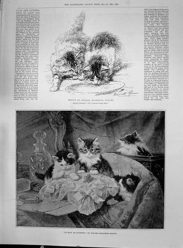 Old 1892 cats kittens sketch - 1892,