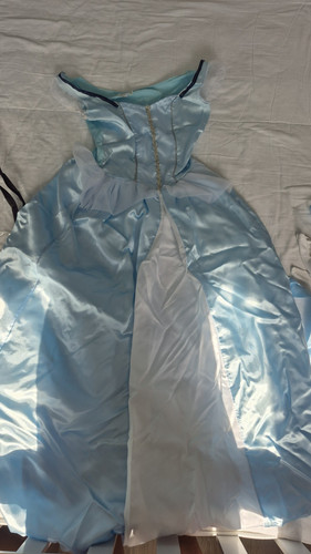 Cinderella adult fancy dress - adult,