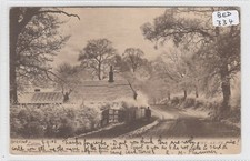 LUTON  Bedfordshire   Park Street with Why Ax Ye Cottage / person used in 1903 