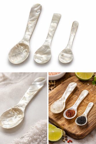 Natural oyster shell - oyster,