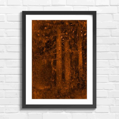 Dark forest tree - trunks, nature