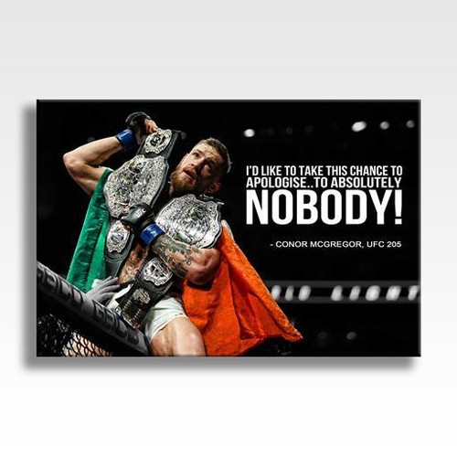 Conor mcgregor ufc - mcgregor, 205