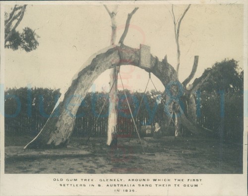 1925 photo old - old, gum