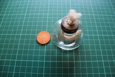 Rare Vintage Thomas Salter