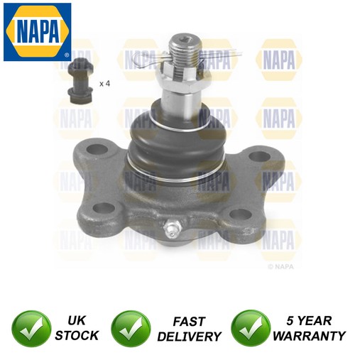 Ball joint front lower outer - ball,
