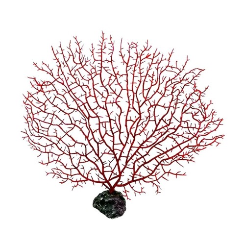 Faux coral reef - faux,