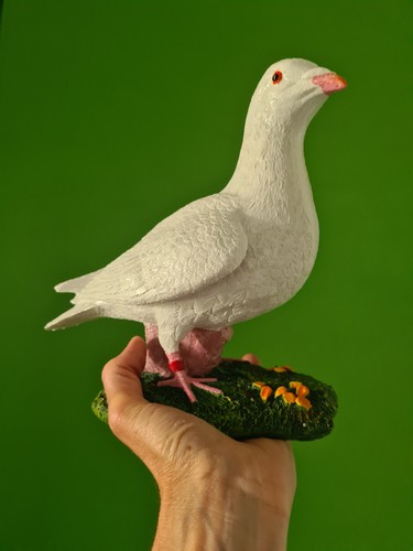 White dove sculpture indoor - white,