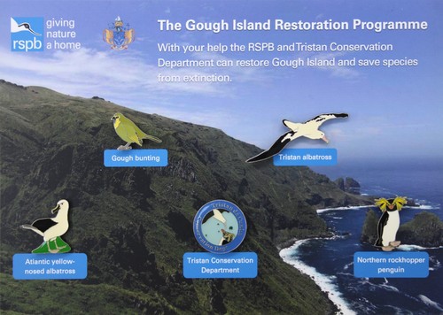 Rspb pin badge special - rspb,