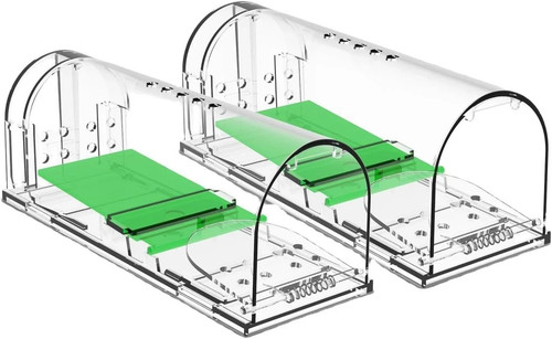 Humane mouse traps live - live, catch