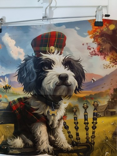 Musical bearded collie - musical, in