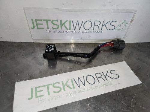 Kawasaki 250x ultra - kawasaki, relay