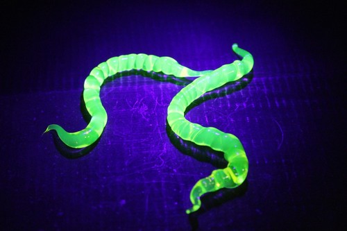 Set two uranium glass worm - set,