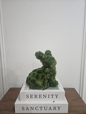 NEXT Green Artificial Moss