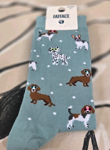 New lovely dachshund and dogs - dachshund,