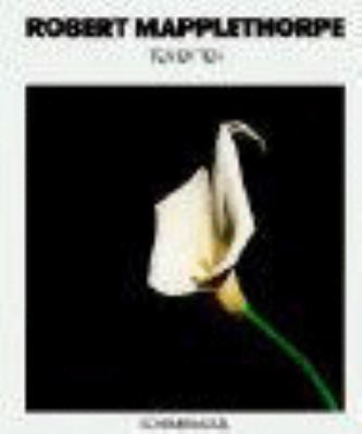 Ten mapplethorpe - ten,,
